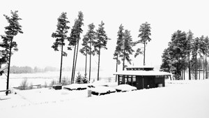 20180121 113225 EFFECTS
